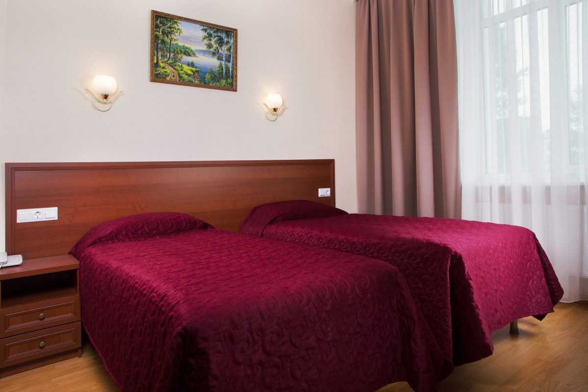 TWIN/DOUBLE в Avetpark Hotel