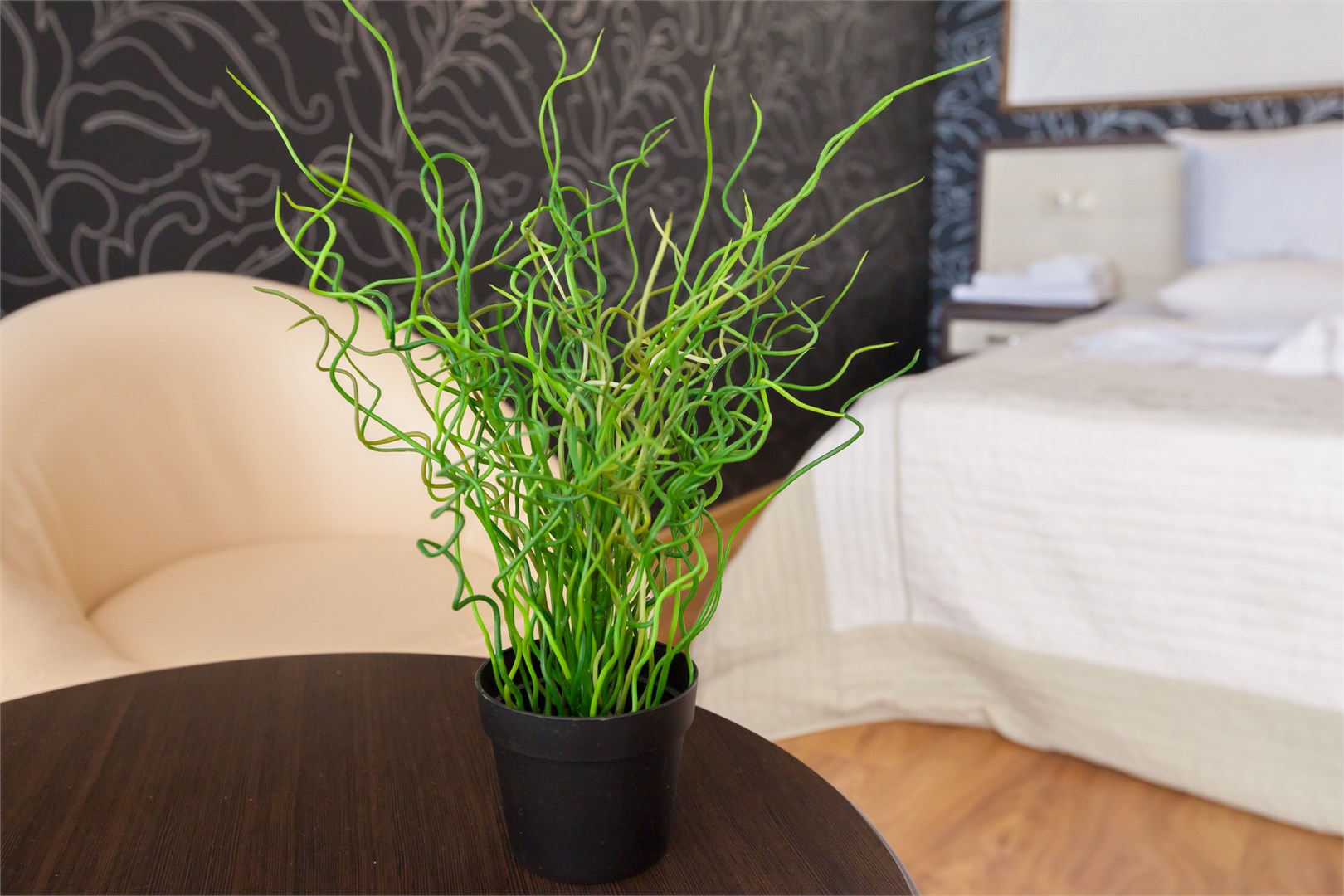 Люкс в Вариант