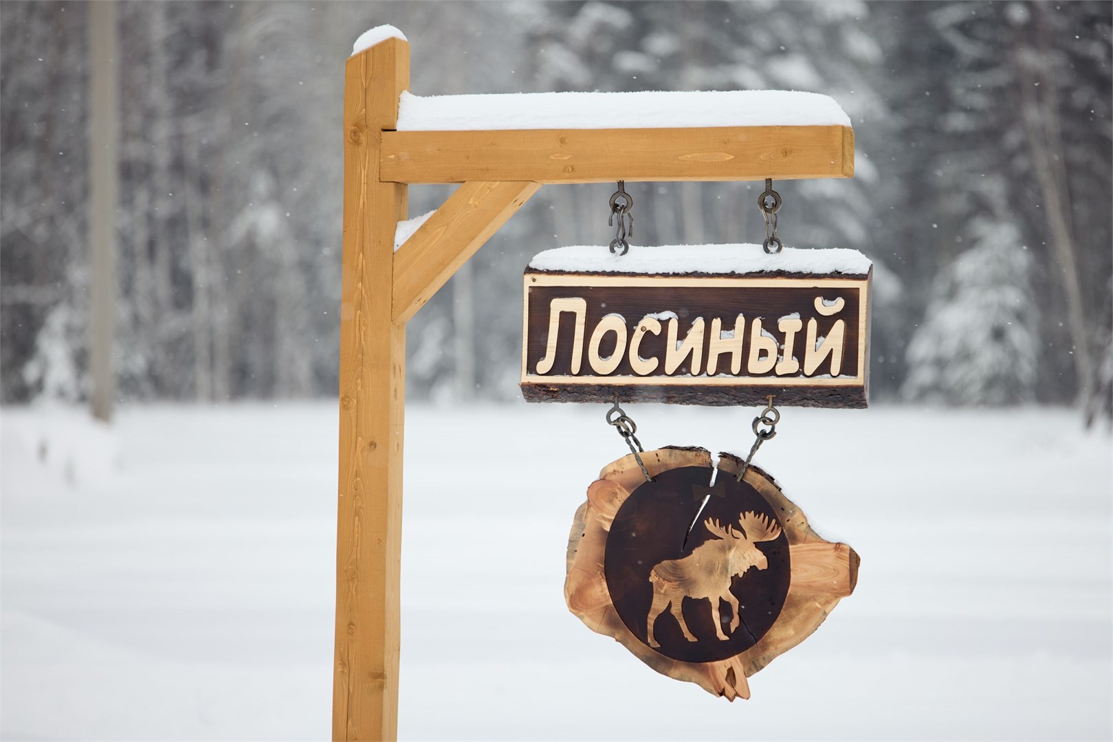 Дом Лосиный в Дальний Хутор