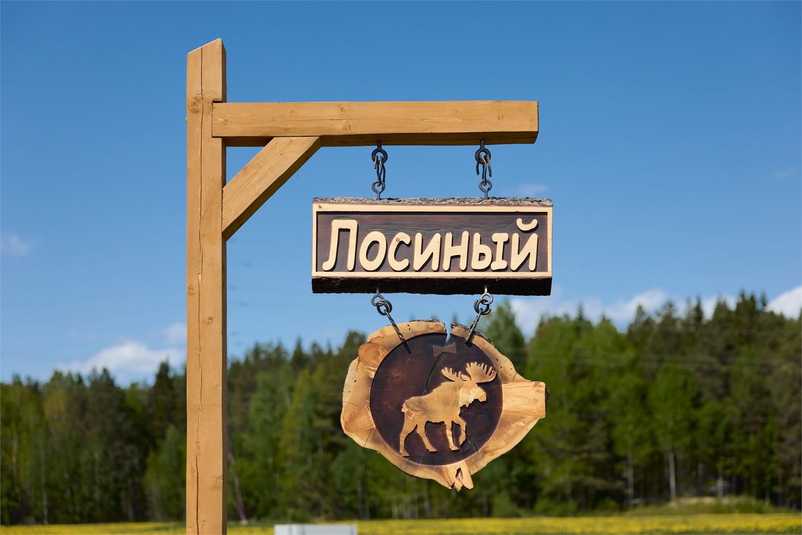 Дом Лосиный в Дальний Хутор