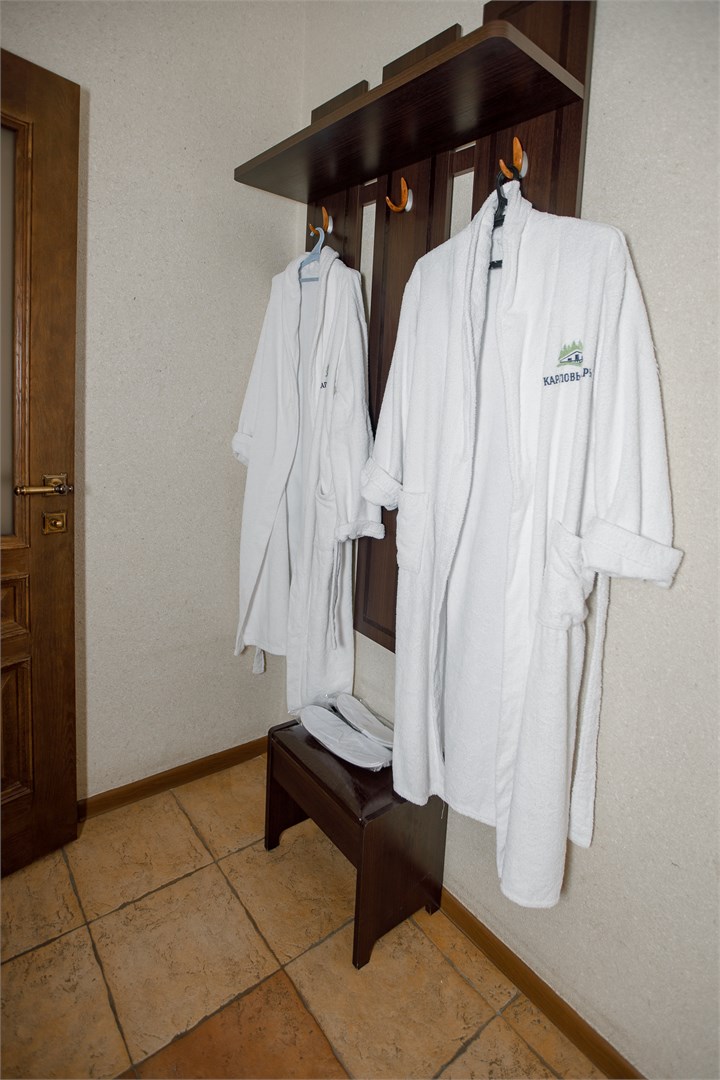 Делюкс в Карловы Вары