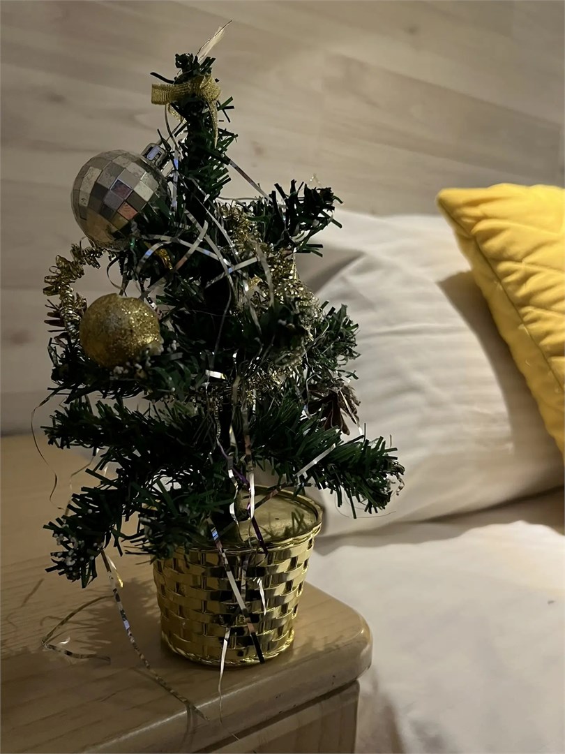 Двухместный стандарт 105 в Ото