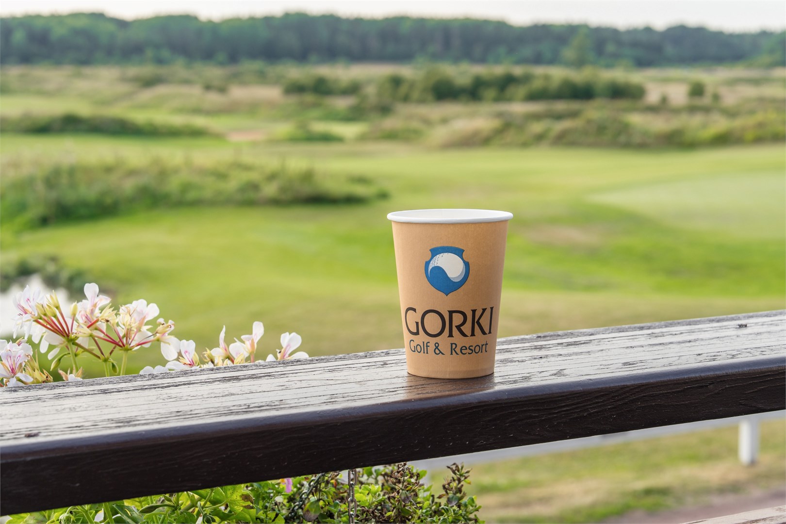 COTTAGE FAMILY+ в Gorki Golf&Resort