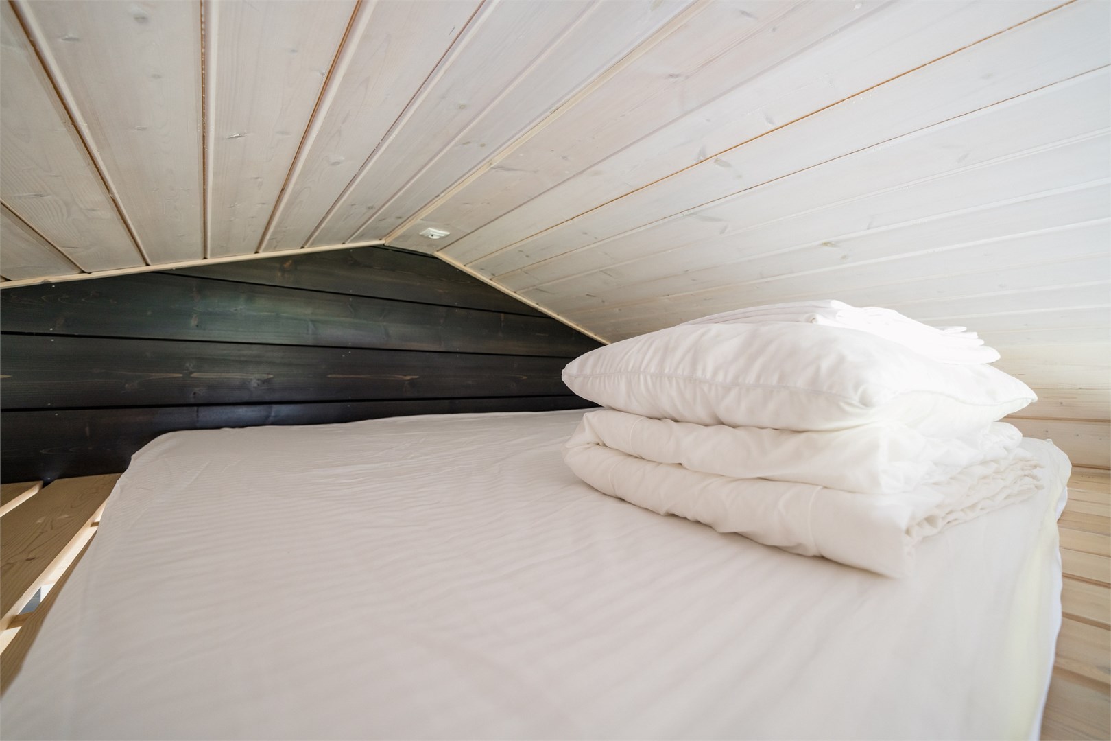 COTTAGE FAMILY в Gorki Golf&Resort