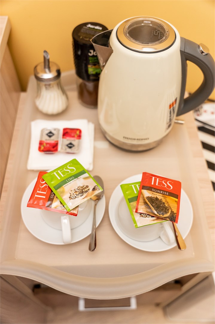 Двухместный полулюкс в Малый отель на Черниковской