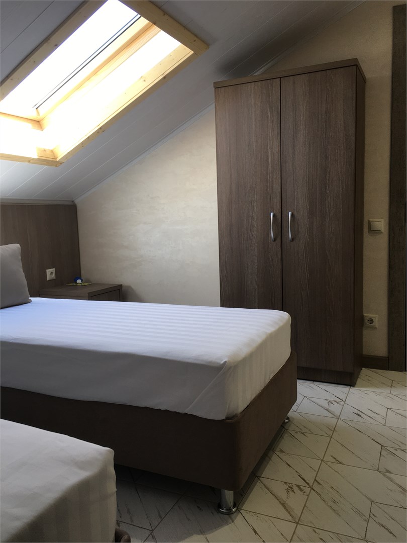 Двухместный Standart (мансарда) в Буджак