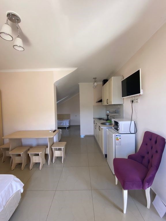 Студия четырехместный номер с кухонной зоной мансарда в Виноград