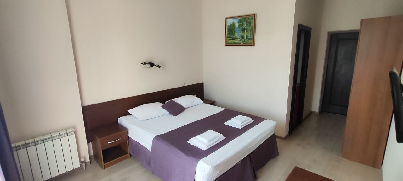 Стандартный двухместный номер с балконом в Камелот