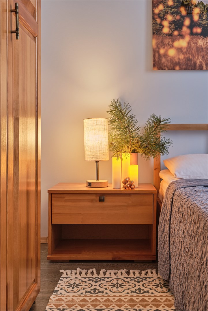 Эконом с одной кроватью в Никола-ленивец