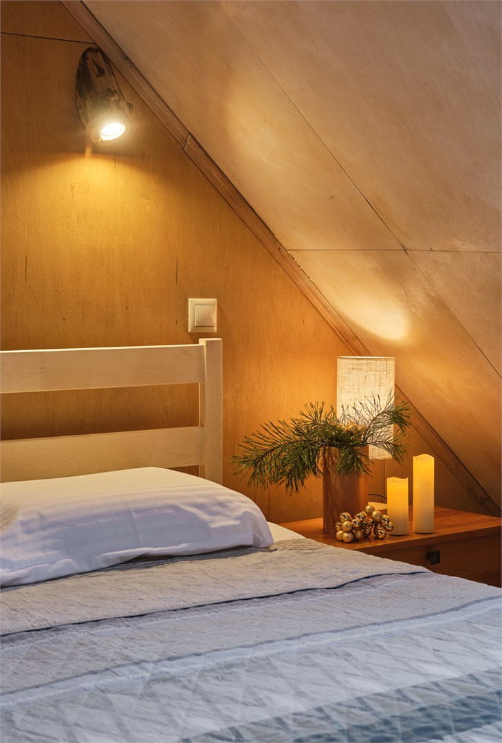 Стандарт с одной кроватью в Никола-ленивец