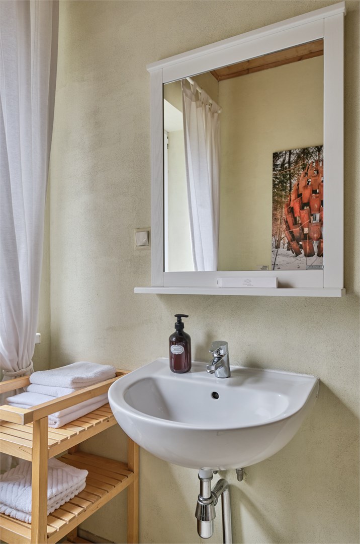 Стандарт с одной кроватью в Никола-ленивец