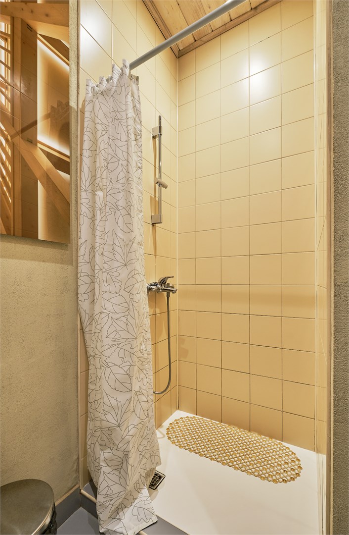 Стандарт с одной кроватью в Никола-ленивец