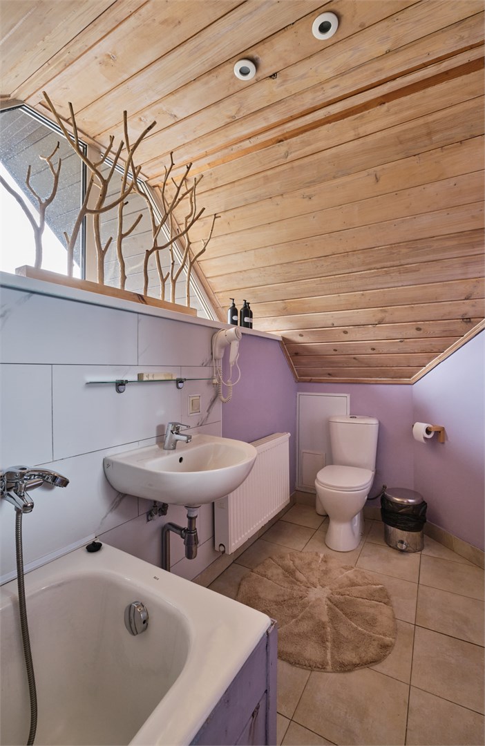 Улучшенный стандарт с одной кроватью в Никола-ленивец