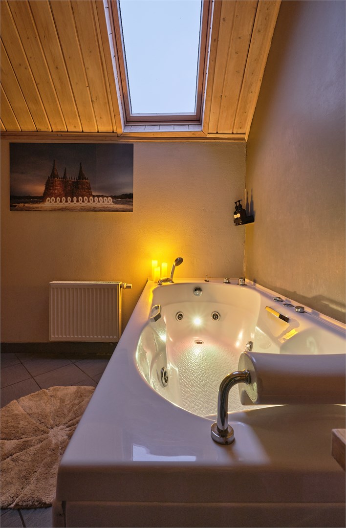 Делюкс с камином в Никола-ленивец