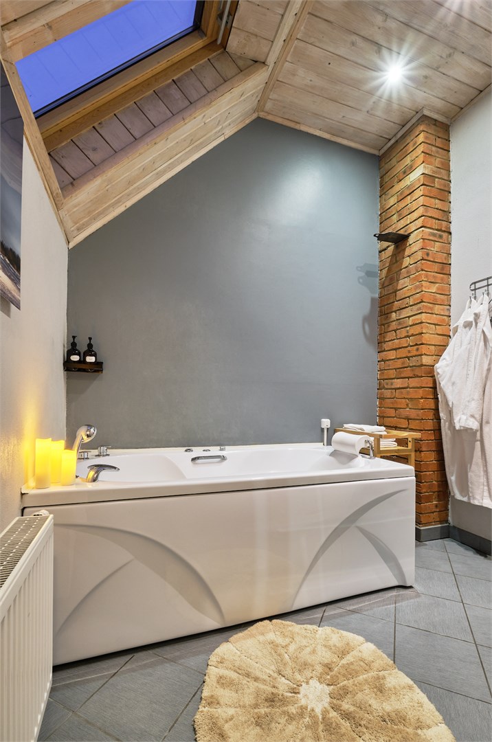 Делюкс с камином в Никола-ленивец