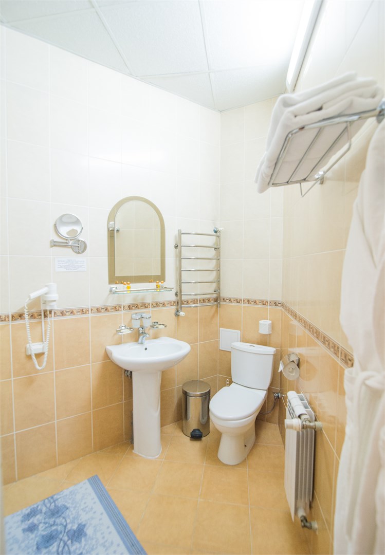 Стандарт DBL/TWIN 2-местный без балкона в Azimut Здоровье Долина Нарзанов Кисловодск