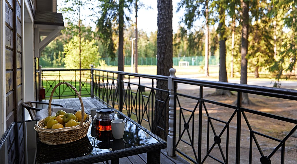 Коттедж «Княжеский» в Царство-Королевство