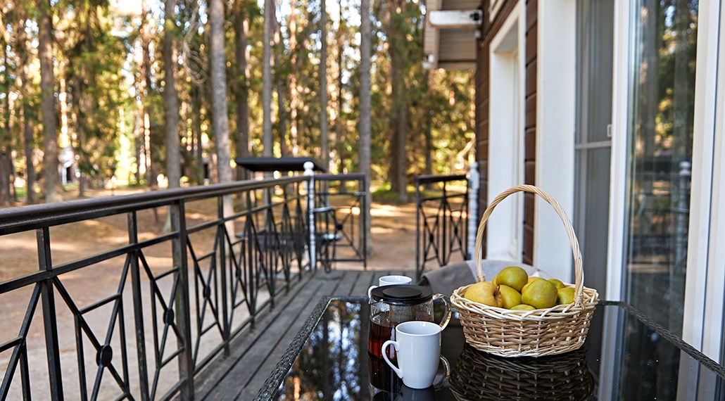 Коттедж «Княжеский» в Царство-Королевство