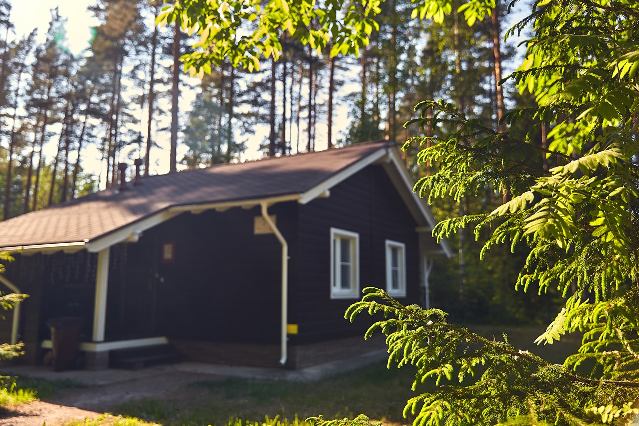 Коттедж «Боярский» в Царство-Королевство