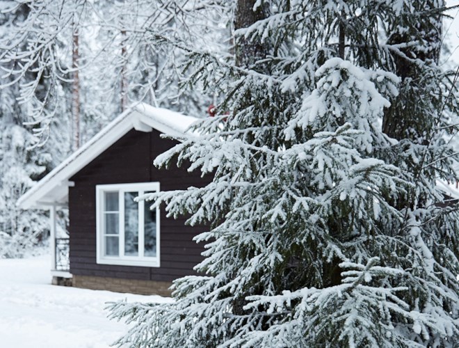 Коттедж «Боярский» в Царство-Королевство