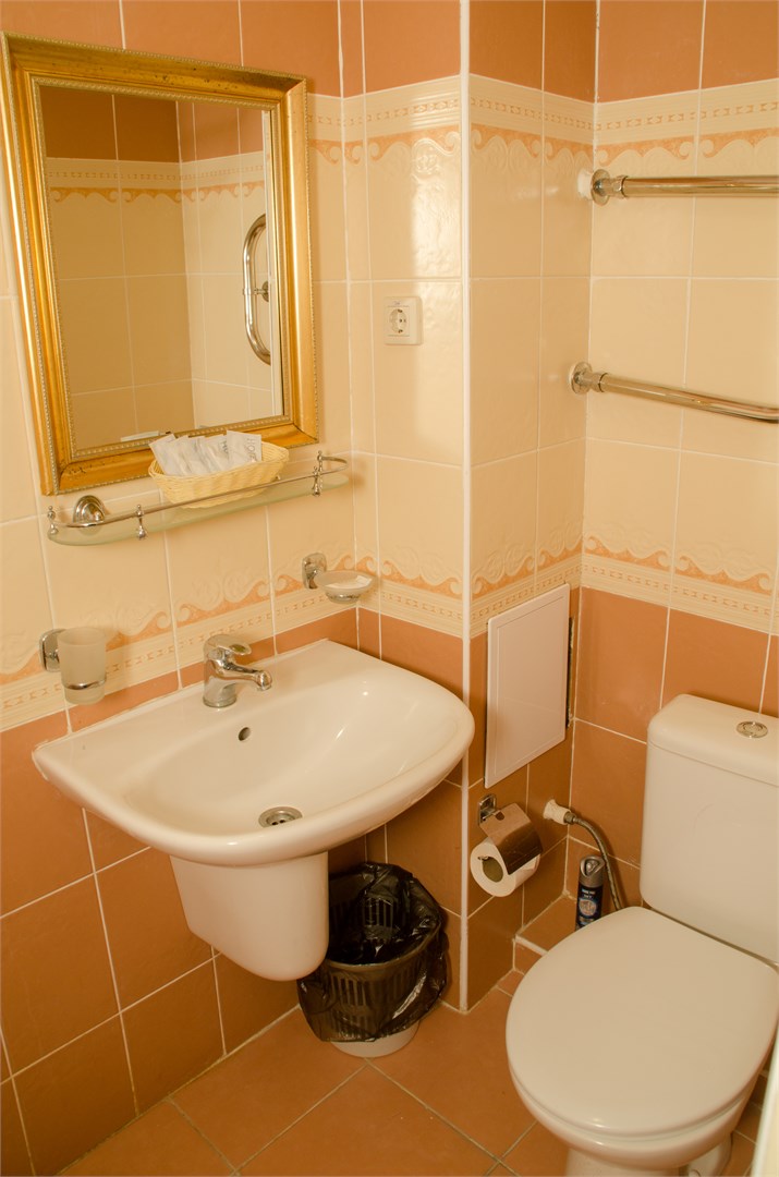 СТАНДАРТ в Илона