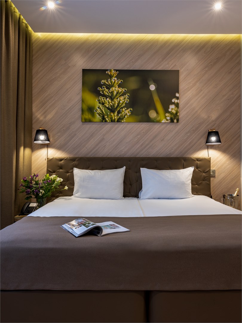 Стандартный двухместный номер с 1 кроватью или 2 отдельными кроватями в Lesnoy Country_House