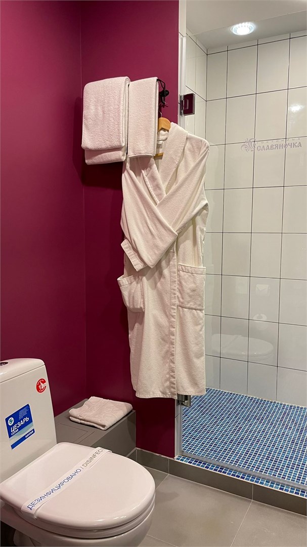 Де Люкс с кухней в Славяночка