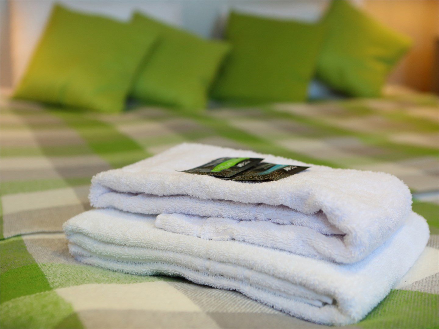 1 категория (Четырех-местный номер с отдельным входом, мансарда) в Николин парк