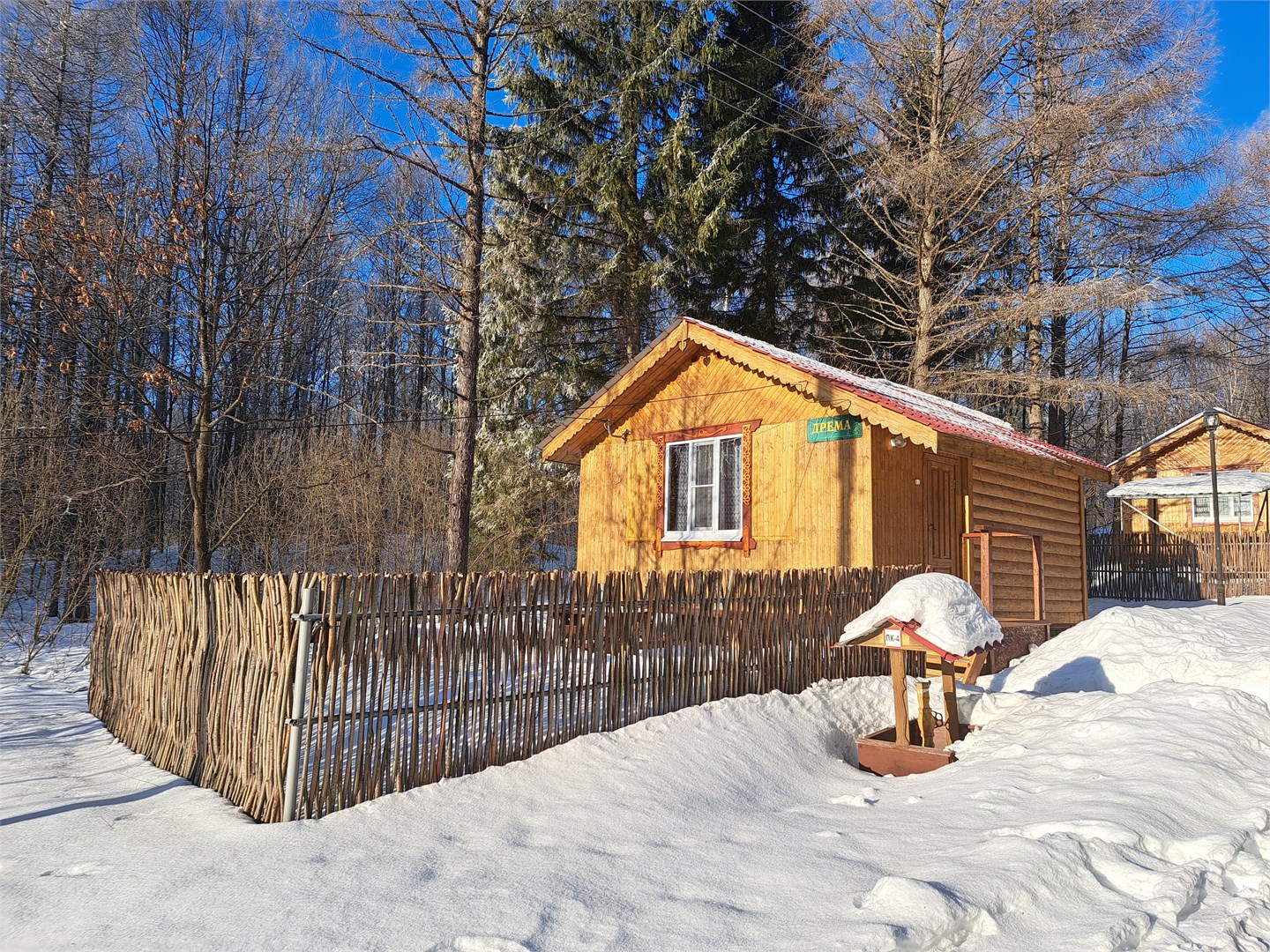 Дрёма в Сурские зори