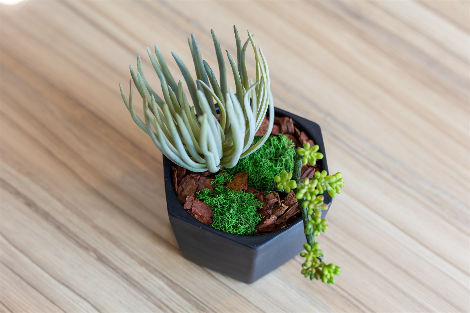 Люкс в Барселона