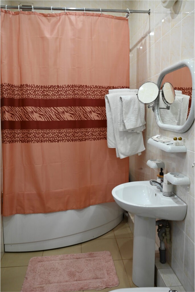 Люкс двухместный в Центральная