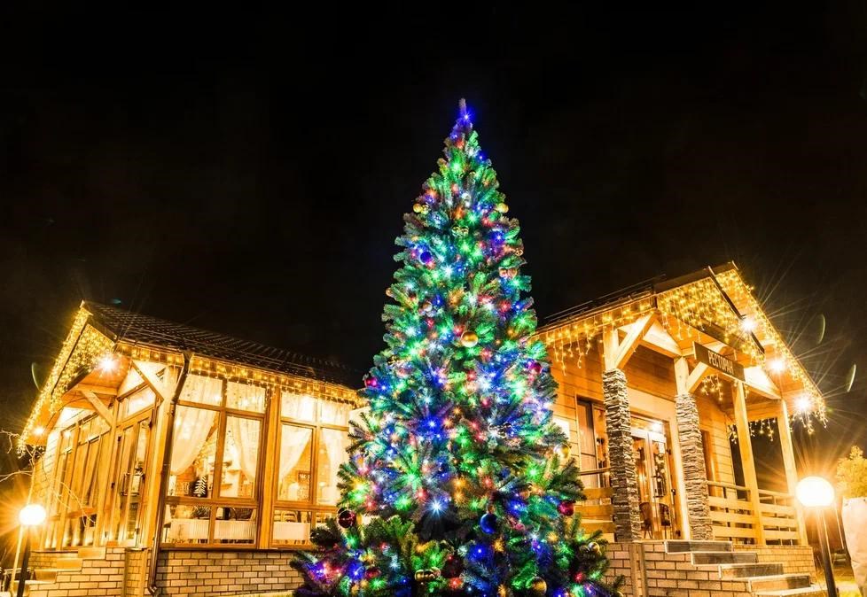 Дом премиум/max. 6гостей в Золотые караси