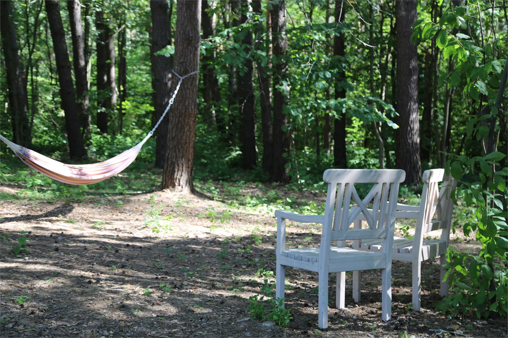 Клюква в Скрытово. Дачи