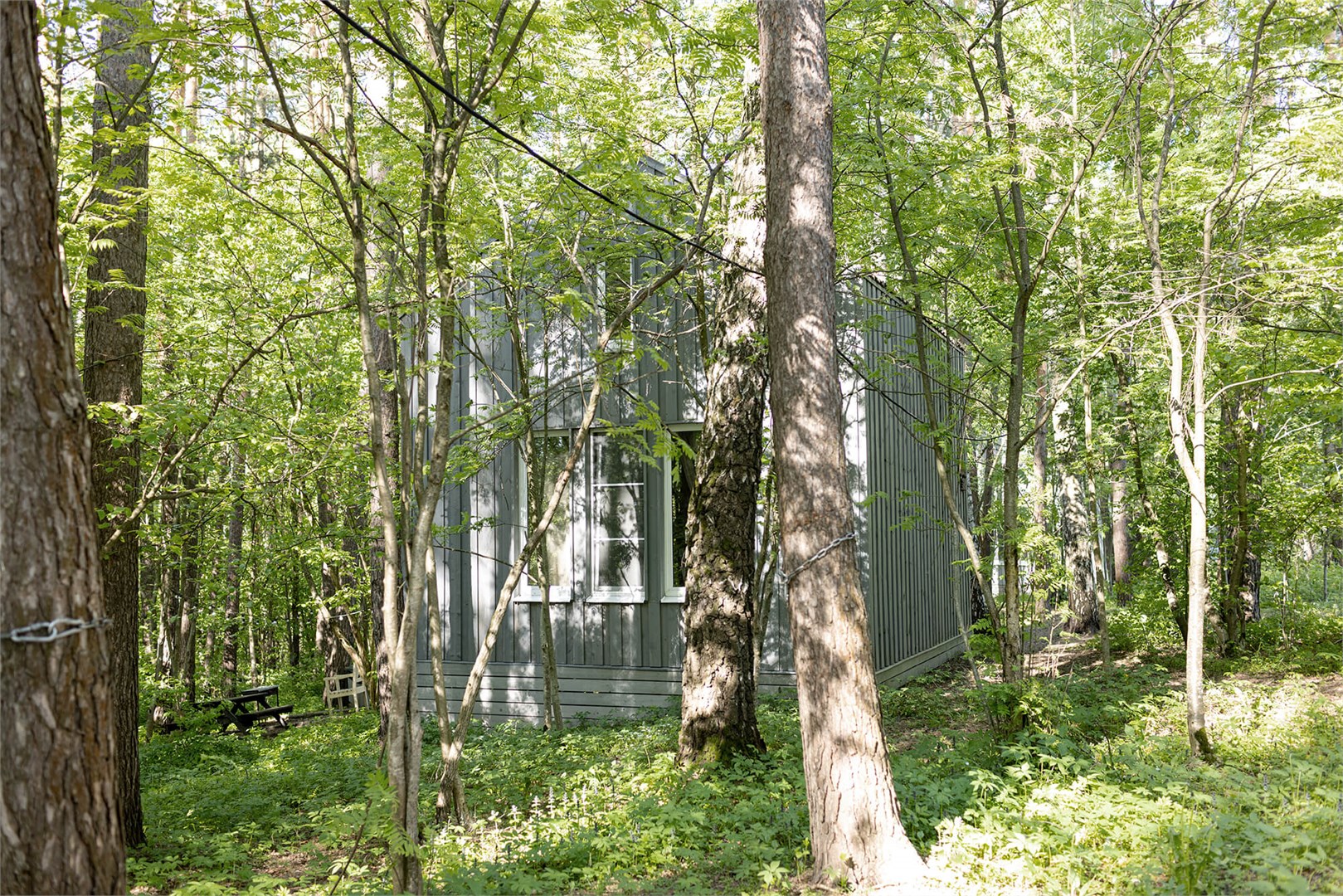 Клюква в Скрытово. Дачи