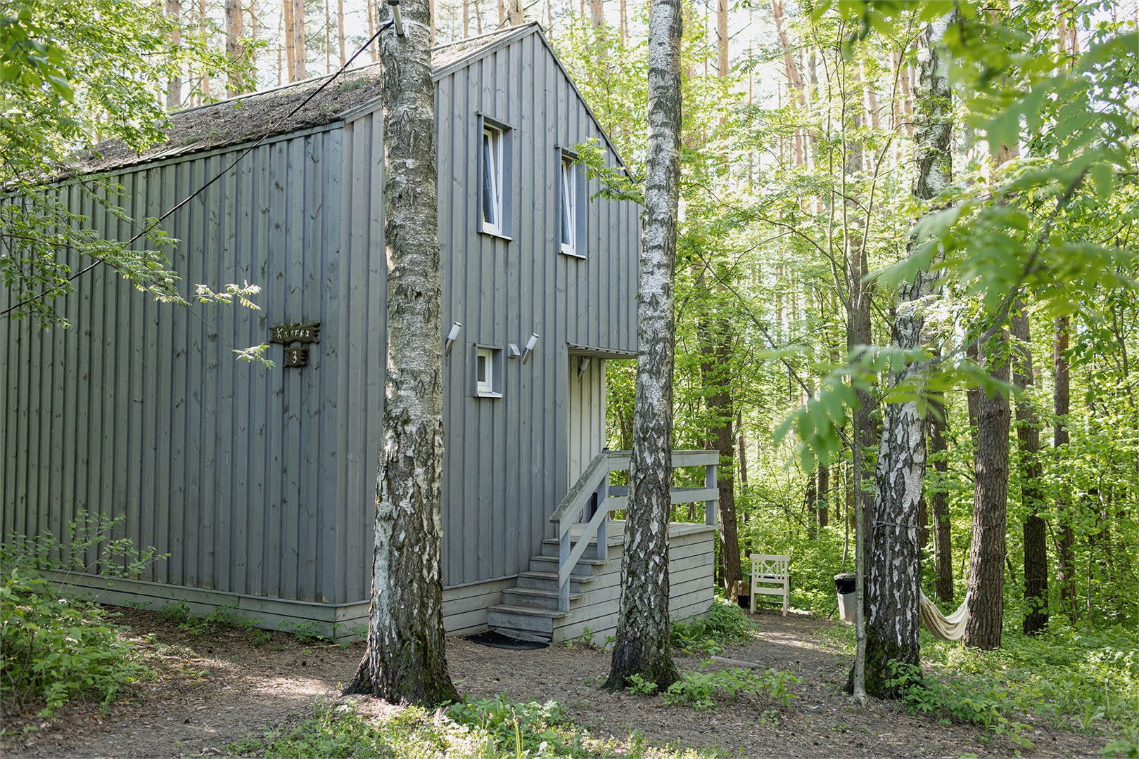 Клюква в Скрытово. Дачи