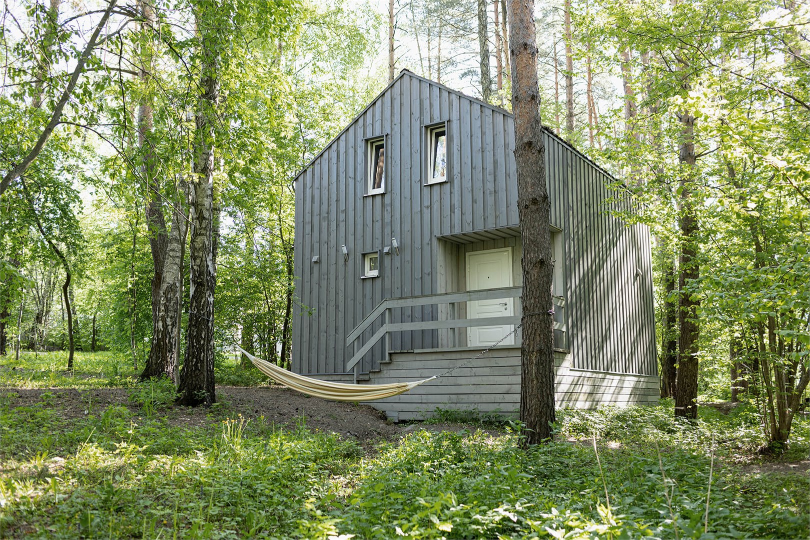 Клюква в Скрытово. Дачи