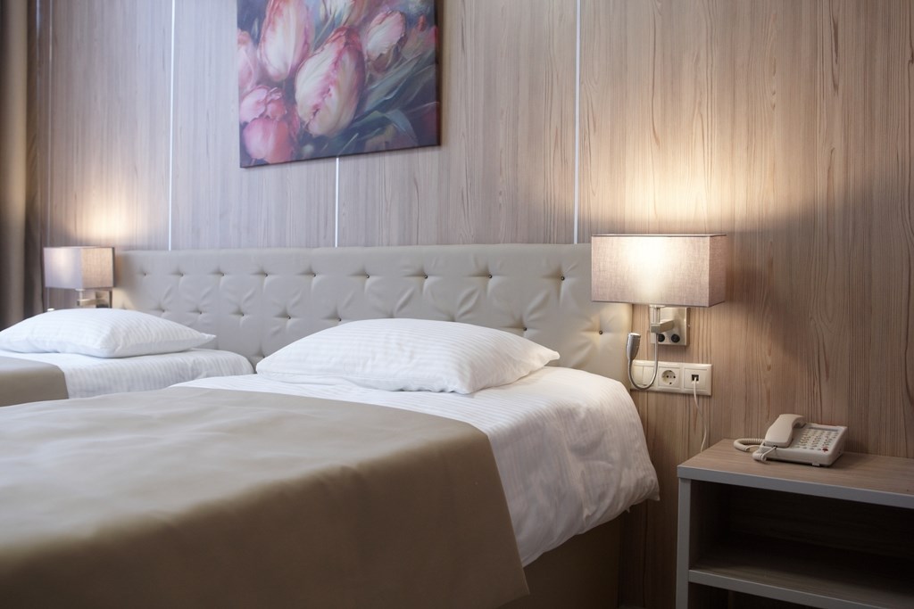 СТАНДАРТ двухместный с одной / двумя кроватями в Централь Отель