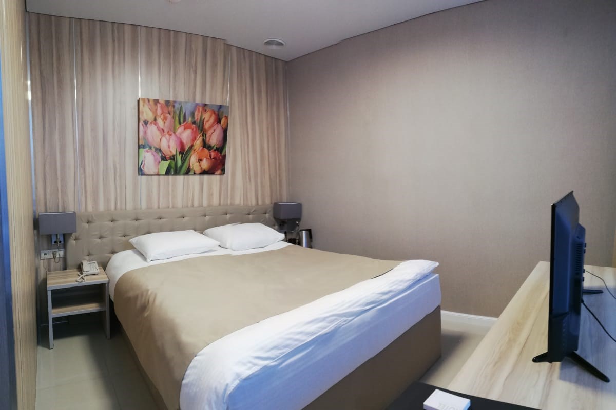 СТАНДАРТ двухместный с одной / двумя кроватями в Централь Отель