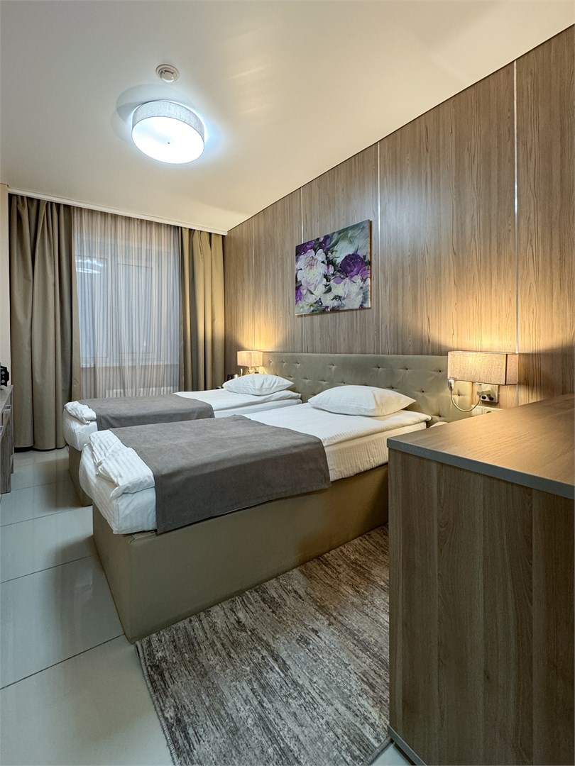 СТАНДАРТ двухместный с одной / двумя кроватями в Централь Отель