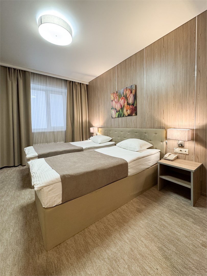 СТАНДАРТ двухместный с одной / двумя кроватями в Централь Отель