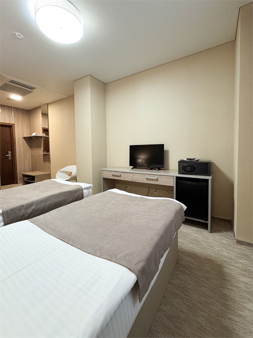 СТАНДАРТ двухместный с одной / двумя кроватями в Централь Отель