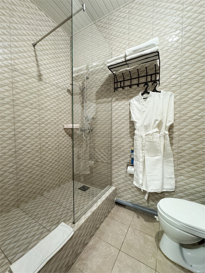 СТАНДАРТ двухместный с одной / двумя кроватями в Централь Отель