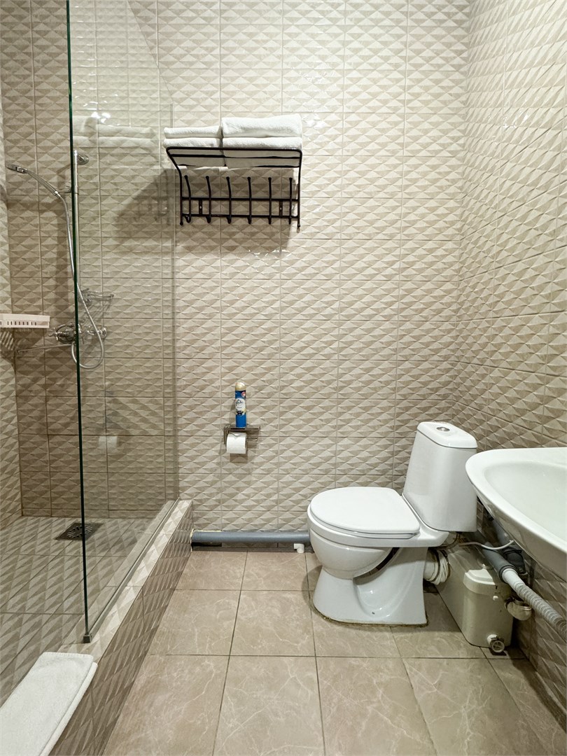 СТАНДАРТ двухместный с одной / двумя кроватями в Централь Отель