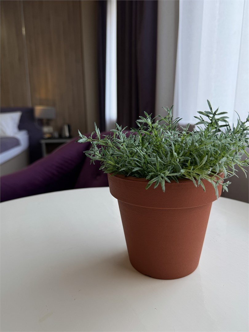 Улучшенный двухместный в Централь Отель