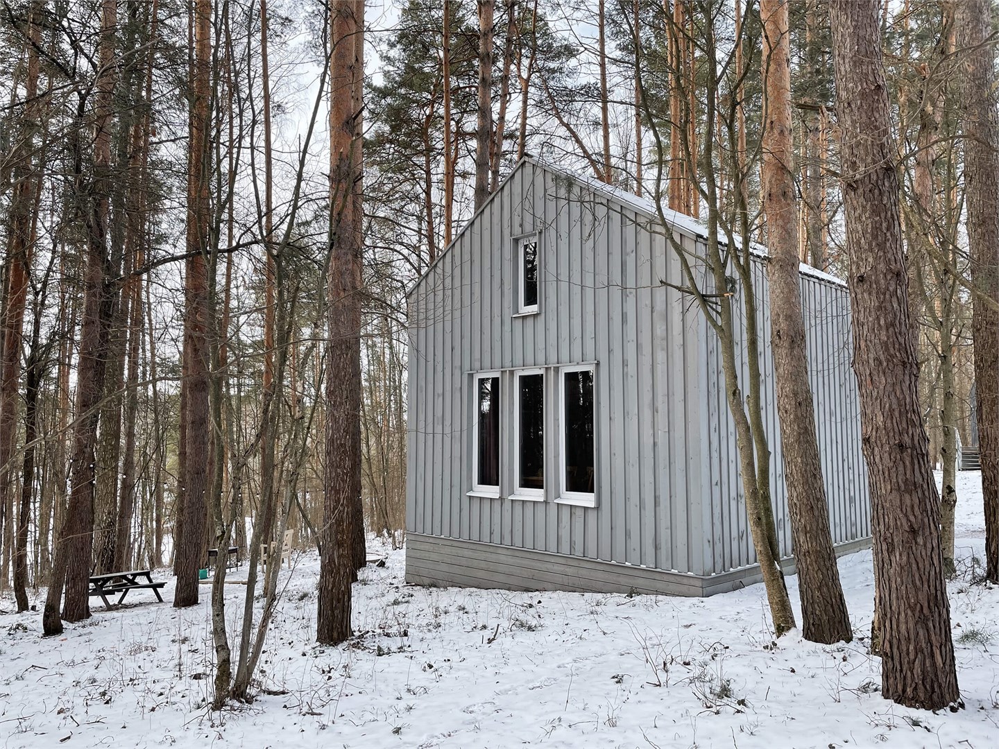 Черника в Скрытово. Дачи