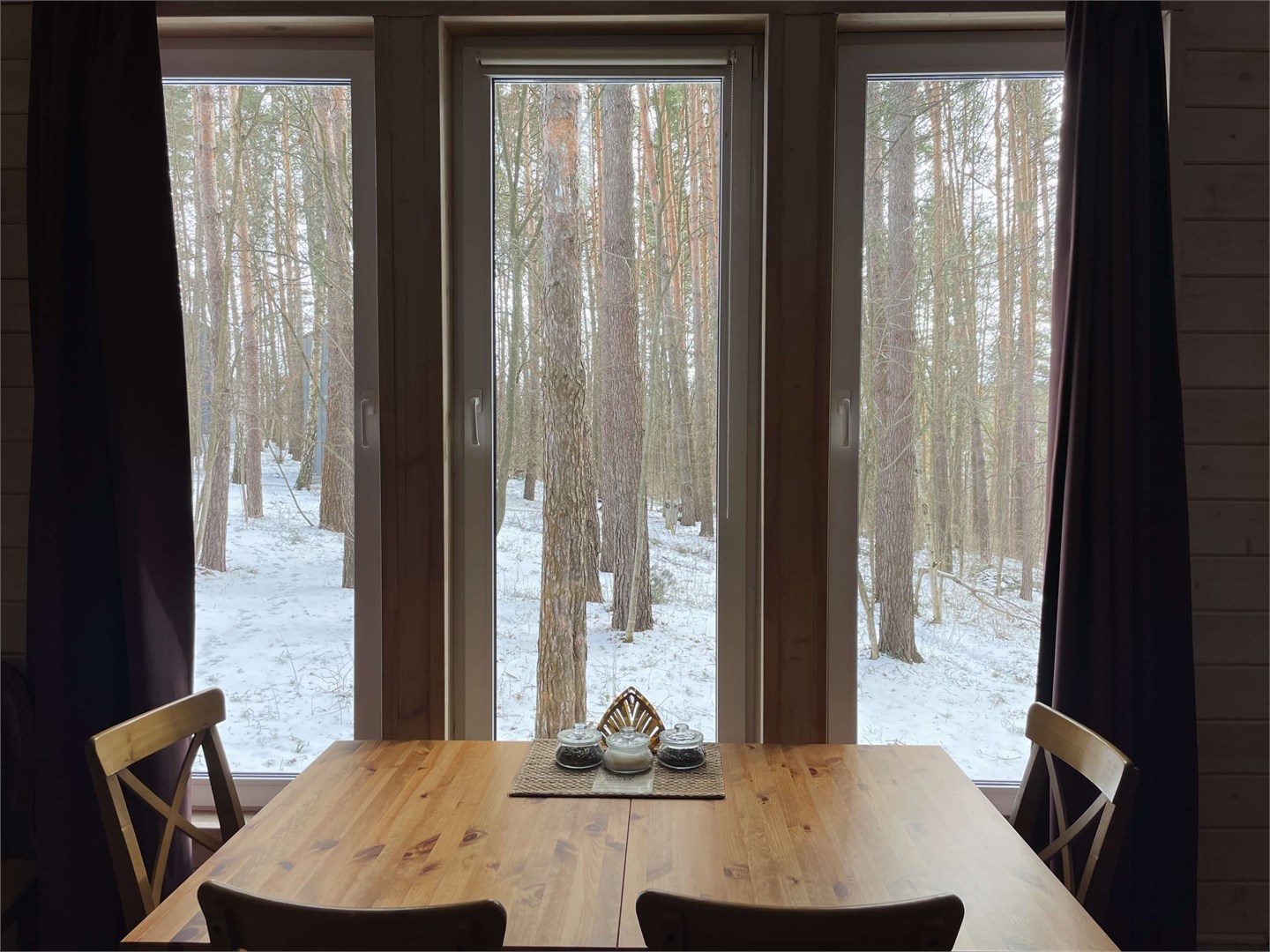 Черника в Скрытово. Дачи