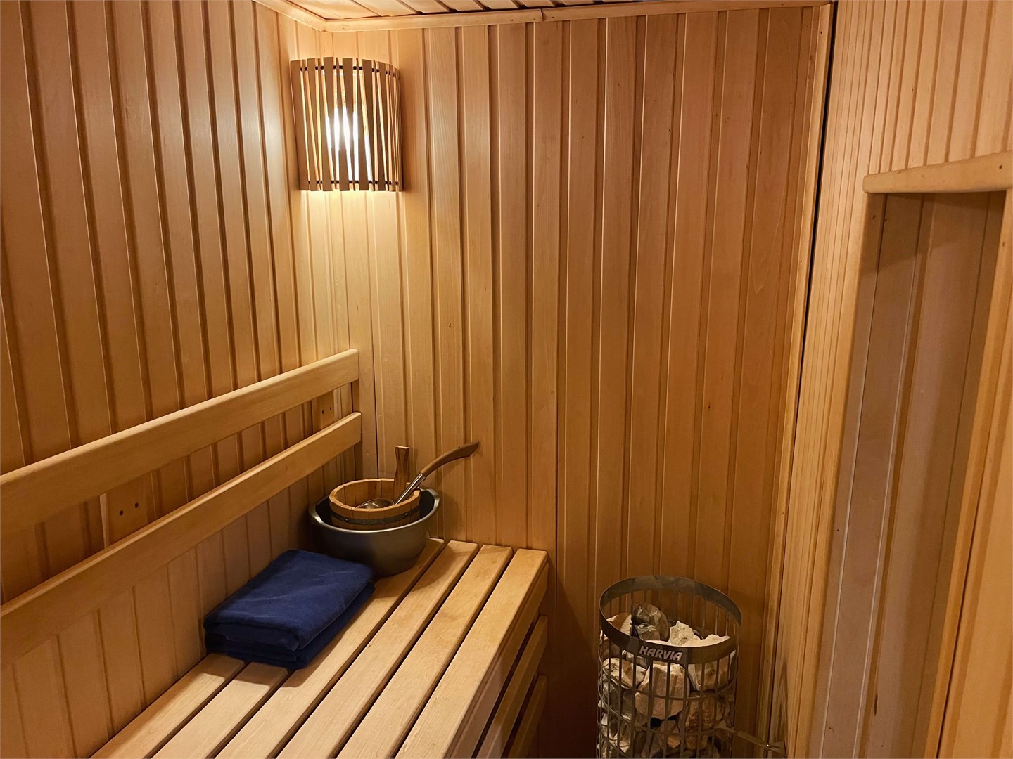 Черника в Скрытово. Дачи