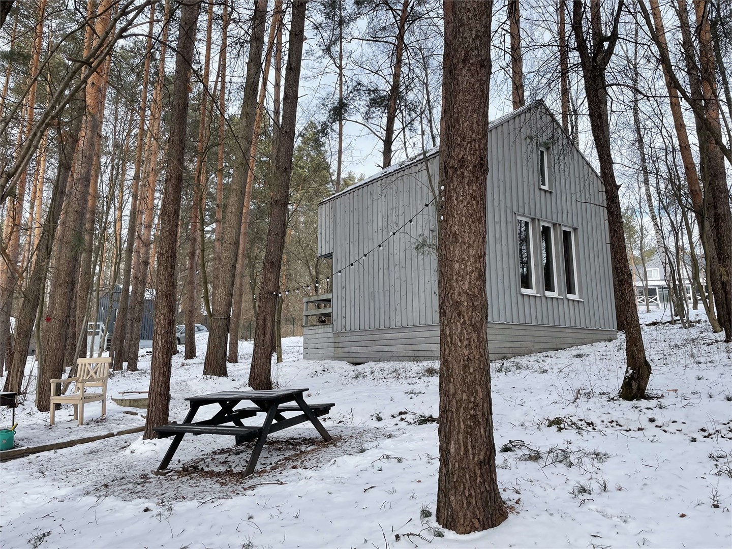 Черника в Скрытово. Дачи