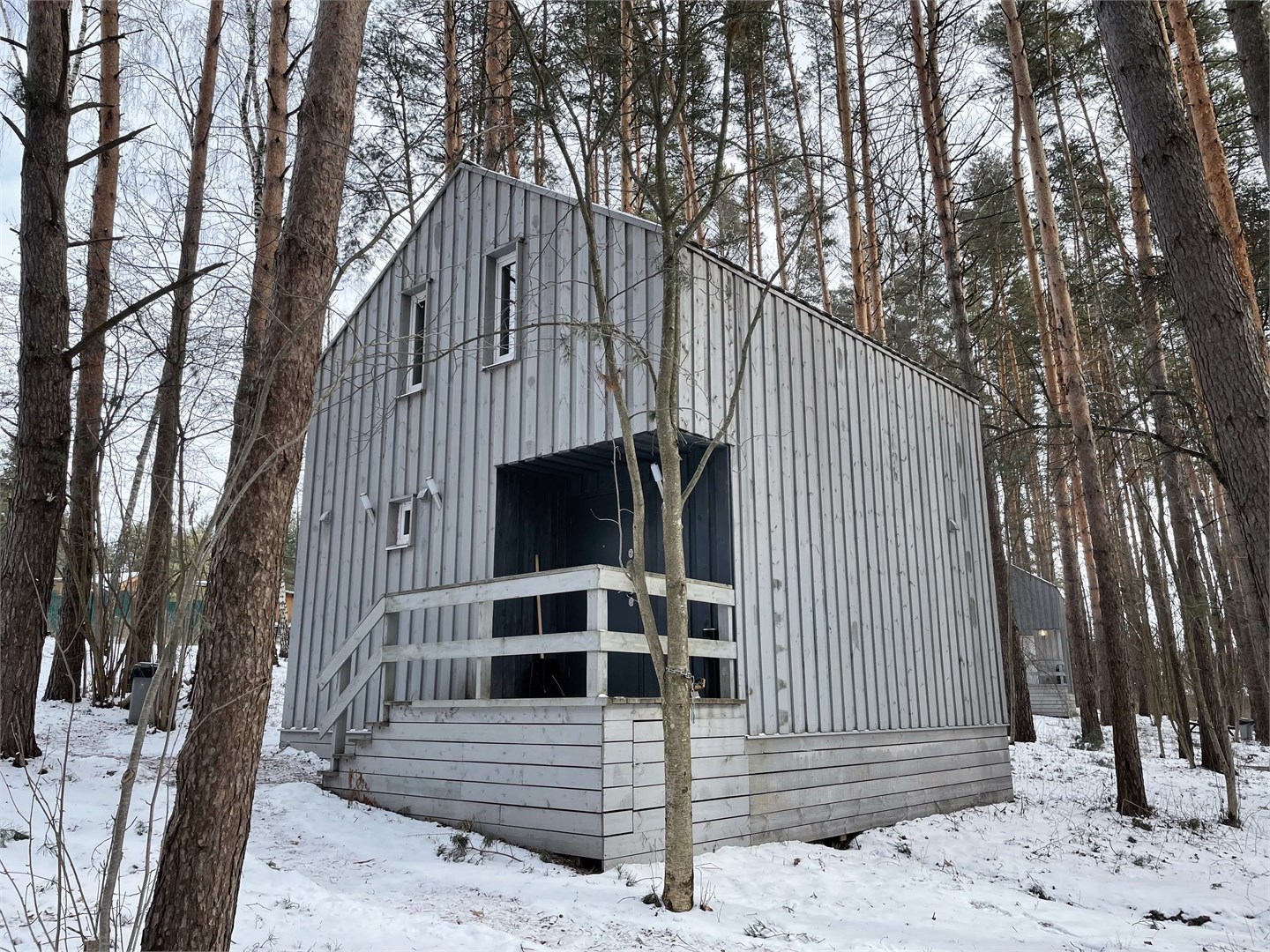 Черника в Скрытово. Дачи