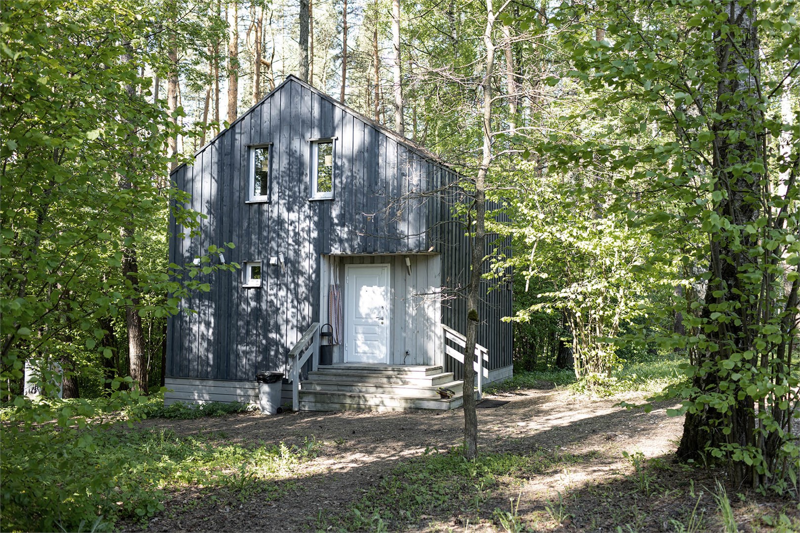 Брусника в Скрытово. Дачи